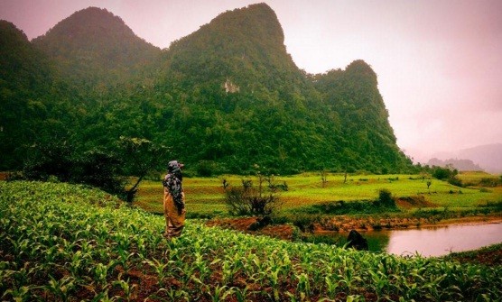 Lang que Viet binh di qua anh cua sao Kong Skull Island-Hinh-7